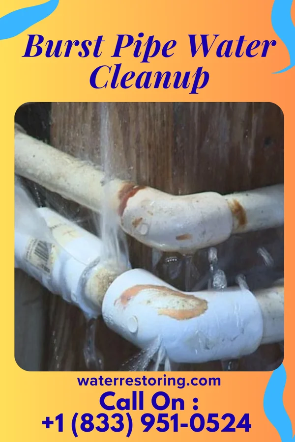 Burst Pipe Water Cleanup in Eyers Grove, PA