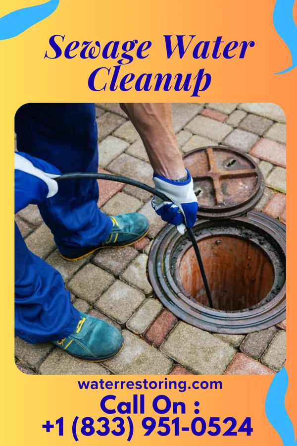 Sewage Water Cleanup in Eyers Grove, PA