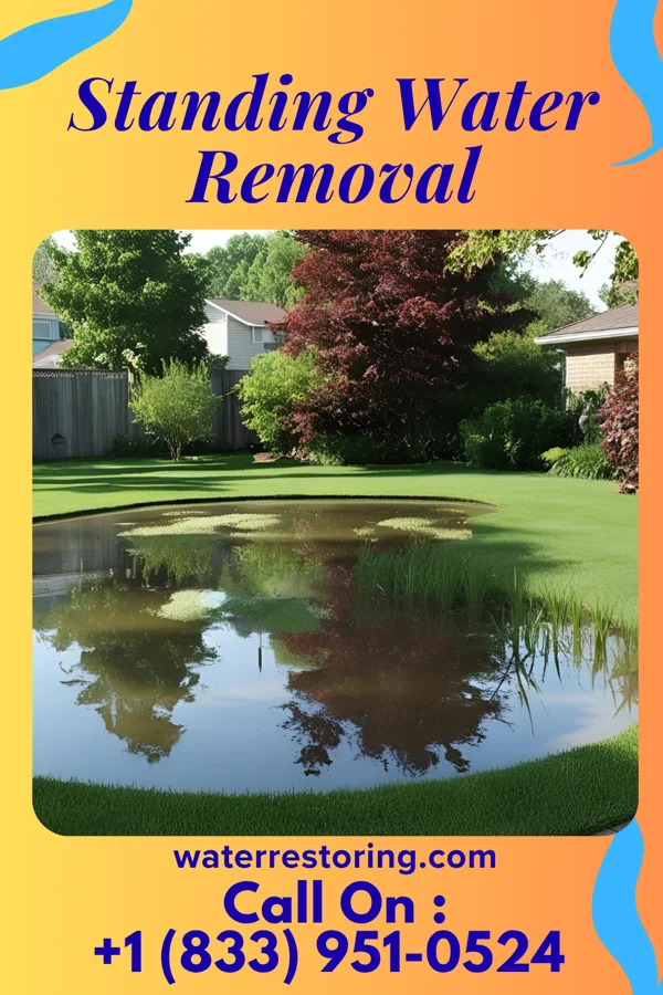 Standing Water Removal in Eyers Grove, PA